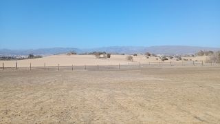 GC-Playa de Maspalomas 2026-037.jpg